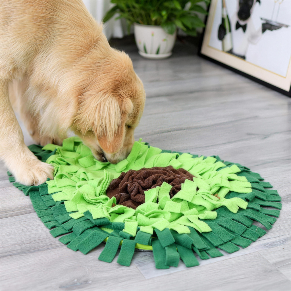 Perro usando la alfombra olfativa aguacate